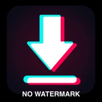 Video Downloader No Watermark