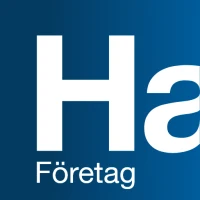 Handelsbanken SE – Företag