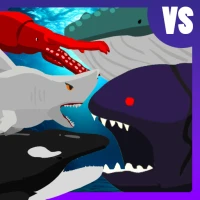 Shark Fights Sea Creatures