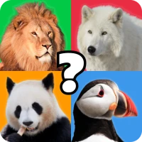 Animal Quiz Guess their Answer