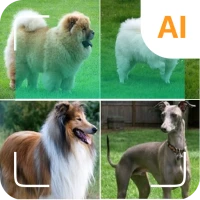 Dog id - dog scanner