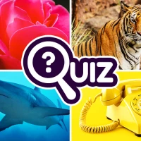 Zoom Quiz: Close Up Pics Quiz