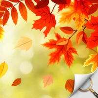 Hidden Object - Autumn Garden